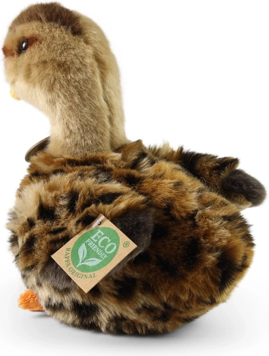 Aspect realist și blăniță catifelată