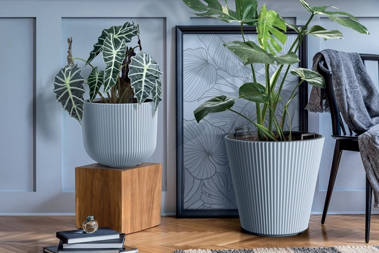 Design modern cu striații