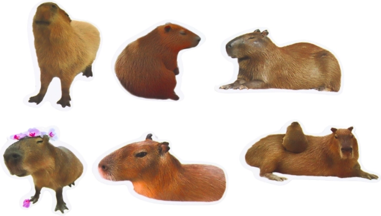 Format mai mare 6–7 cm pentru decor impresionant