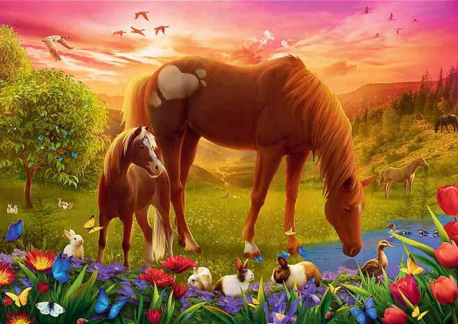 Puzzle 500 piese Konji pe pajiște