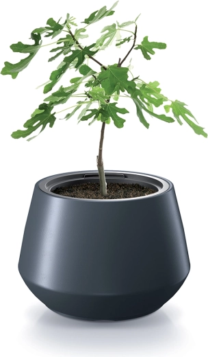 Universal pentru plante și ierburi aromatice