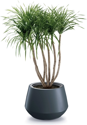 Aspect antracit modern