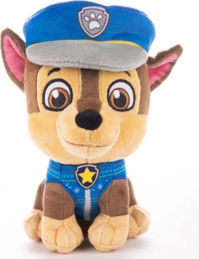 Personaj îndrăgit din PAW PATROL