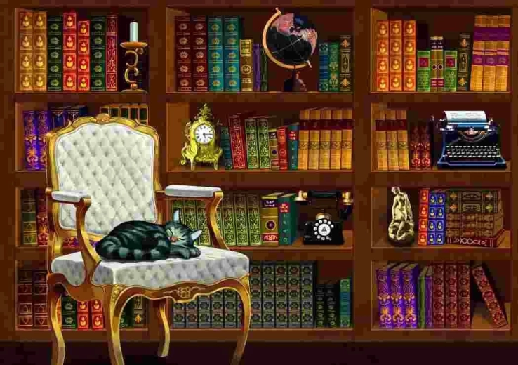 Puzzle Bibliotecă vintage 1000 piese