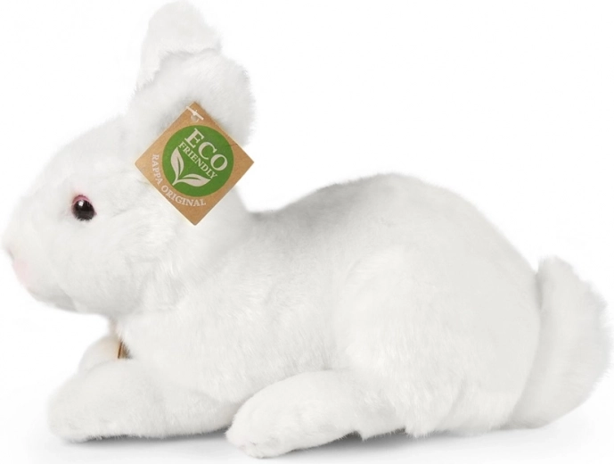 Sigur pentru cei mai mici de la 0+