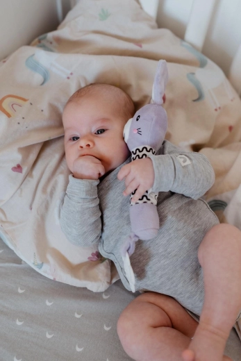 Pârâit delicat pentru dezvoltarea auzului