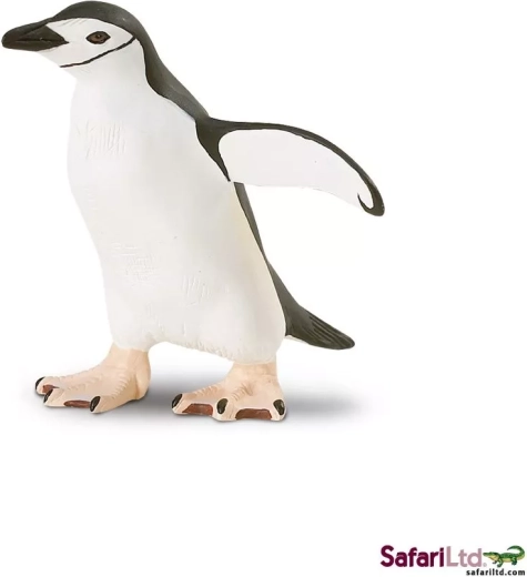 Pinguin cu bentiță sub bărbie