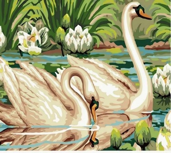 Norimpex pictură pe numere Lebede pe iaz 40 × 50 cm