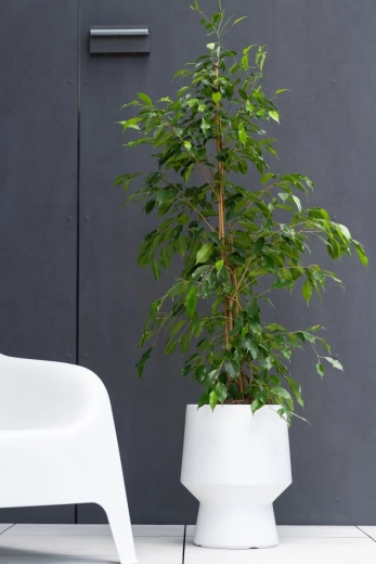 Accesoriu stilat pentru interior