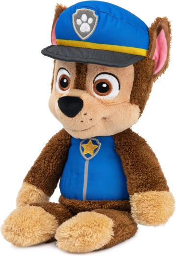 Aspect fidel eroului PAW PATROL