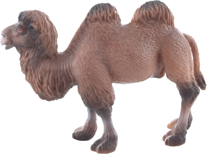 Dimensiuni compacte pentru utilizare ușoară