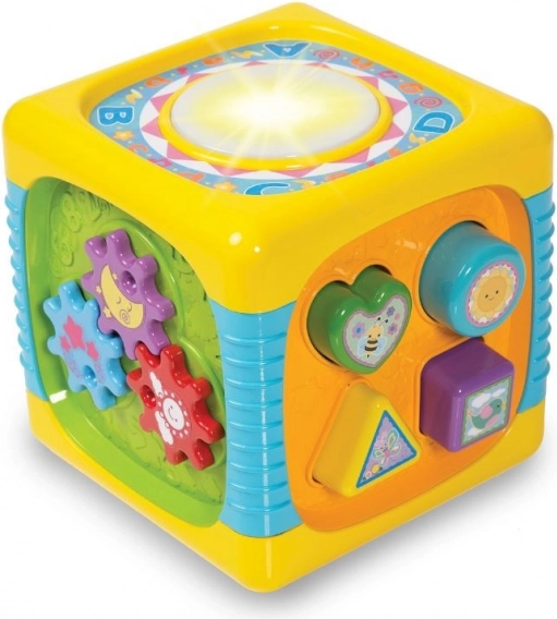 Sortarea formelor și motricitate fină