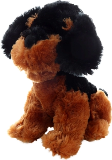 Dimensiune ideală 30 cm