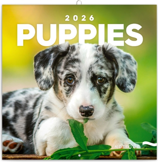 Calendar cu notițe Cățeluși 2026