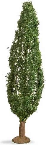 Plop NOCH (Master Tree) 18 cm