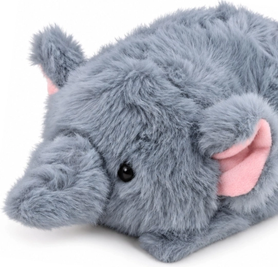 Motiv adorabil cu animal