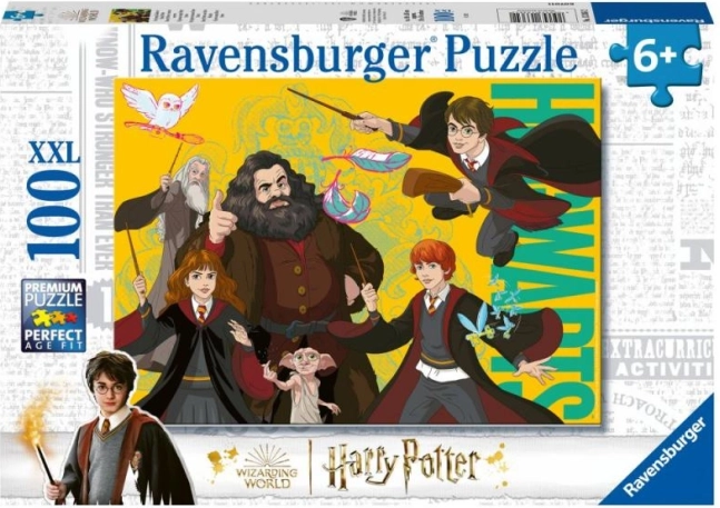Harry Potter: tânărul vrăjitor puzzle 100 piese