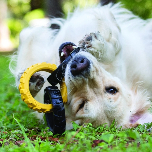 Distracție interactivă acasă și afară
