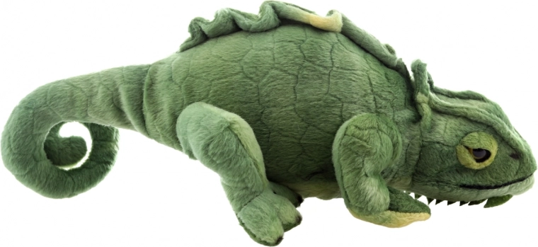 Aspect realist de cameleon