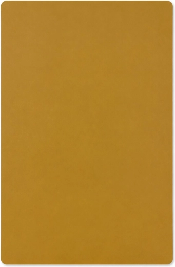 Suport de masă din plastic Verde, muștar, 58 × 38 cm
