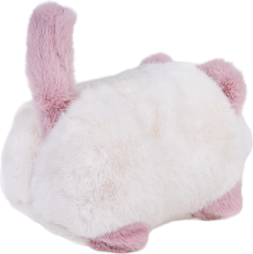 Înregistrare și redare a vocii