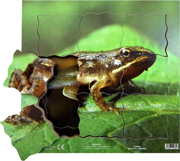 Just Jigsaws Broasca și ciclul său de viață - puzzle stratificat din lemn