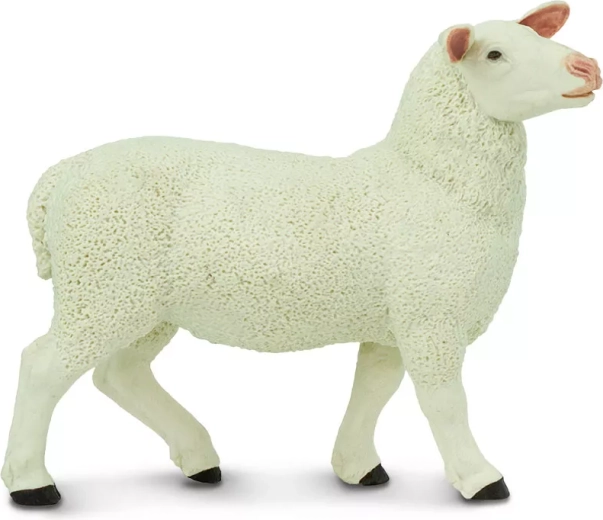 Safari Ltd. figurină oiță - 1 bucată