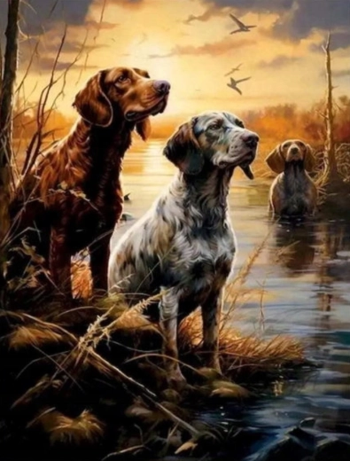 Pictură după numere Câini în mlaștini 40 × 50 cm NORIMPEX