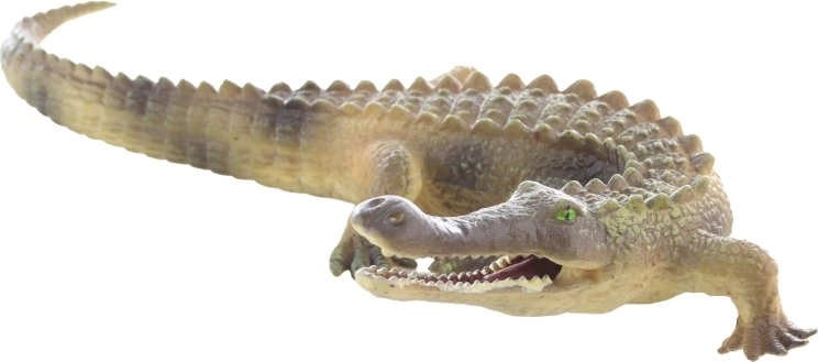 Dimensiune ideală pentru mâna copilului