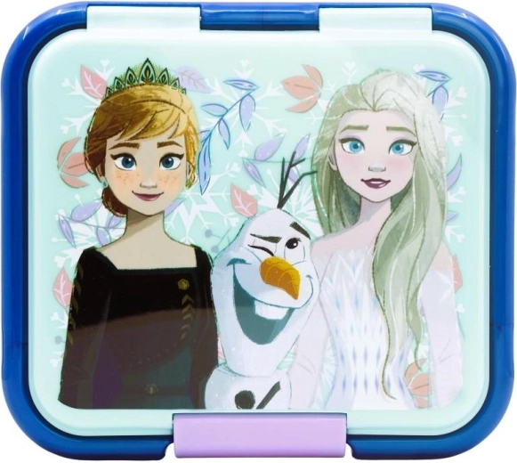 Motiv Frozen și închidere sigură