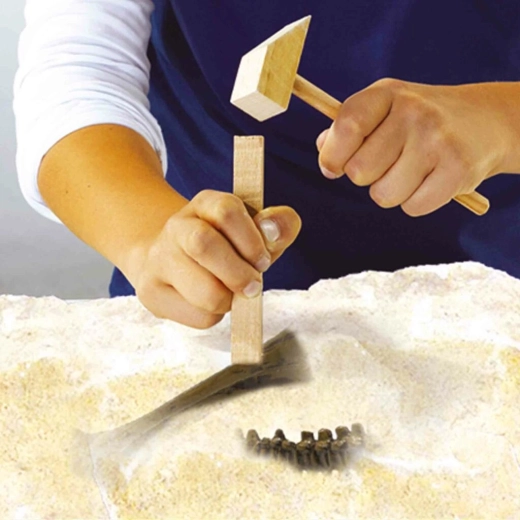 Excavări ca un paleontolog adevărat