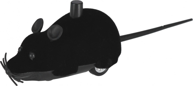 Distracție în culori diferite