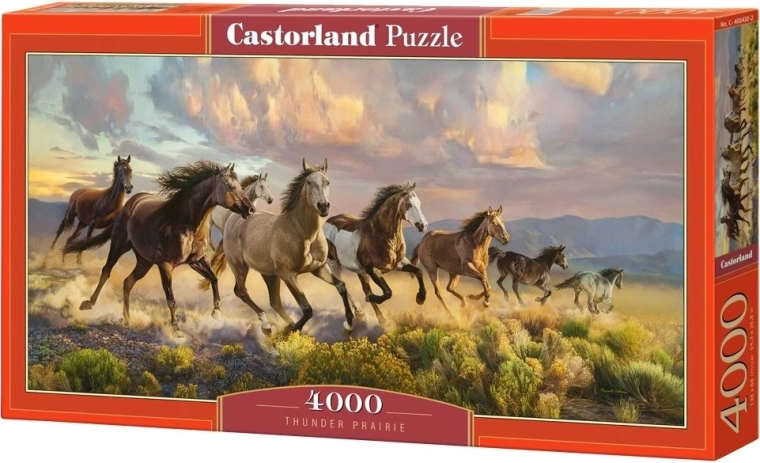 Puzzle Castorland „Preria cu marmote” 4000 de piese