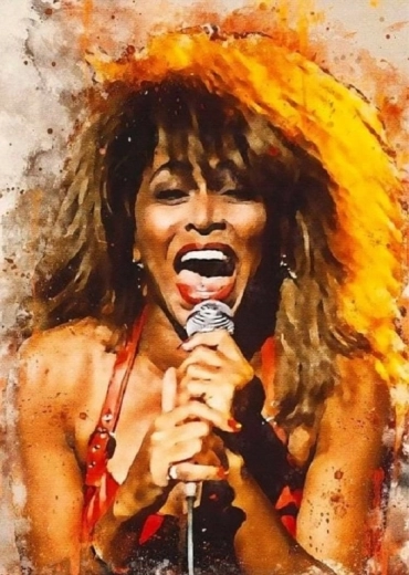 Norimpex pictură cu diamante Tina Turner cântă 30 × 40 cm