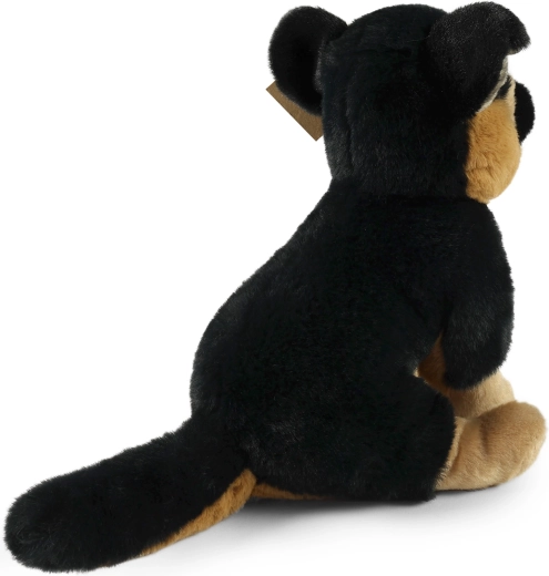 Partener ideal de îmbrățișat, acasă și în călătorii