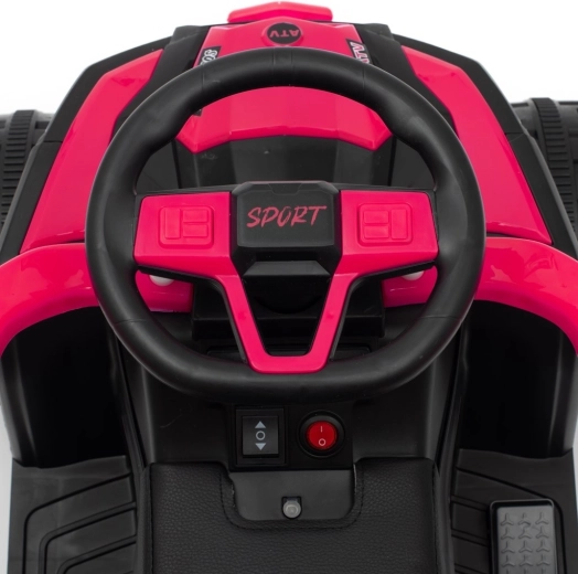 Comenzi și bord realiste