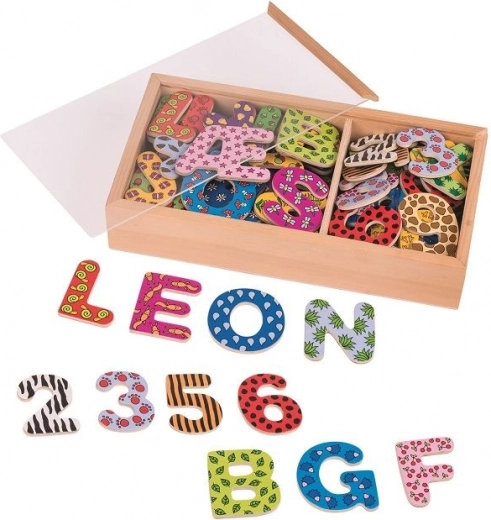 Litere și numere magnetice