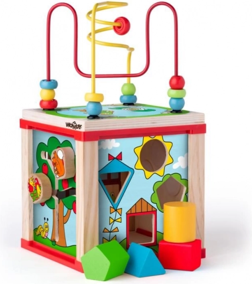 Sortarea formelor și primele sarcini logice