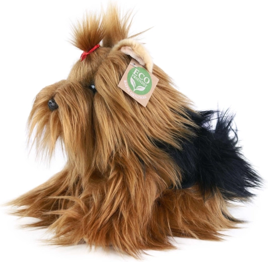 Terrier Yorkshire moale