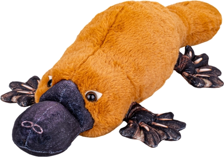 Ornitorinc din pluș 50 cm – animăluț moale în poziție culcată