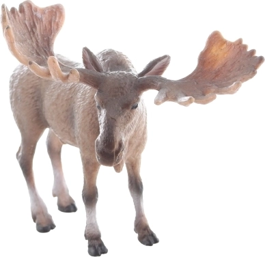 Execuție realistă pentru o experiență autentică