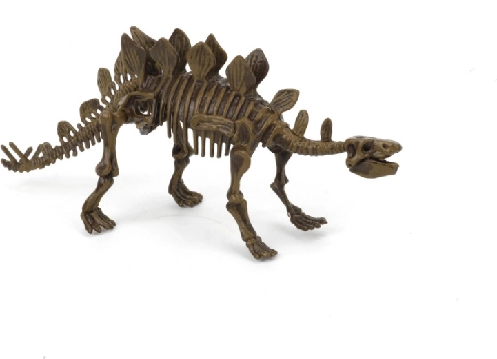 Set arheologic 3D Stegosaurus