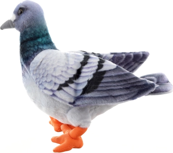 Companion moale