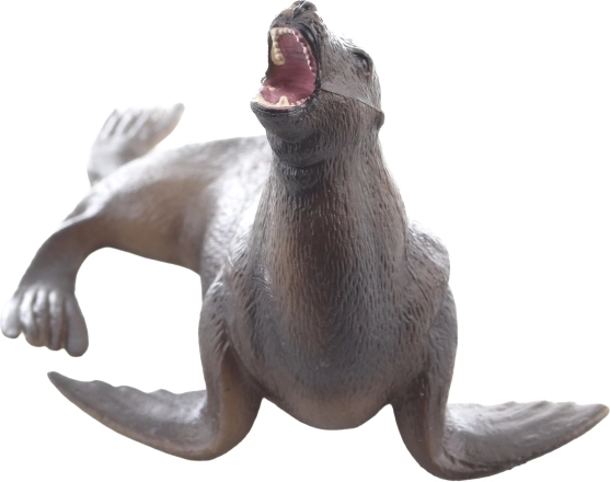 Excelentă pentru învățarea despre animalele marine