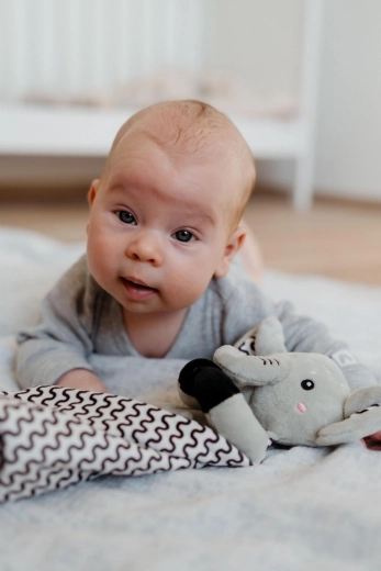 Zornăitoare pentru dezvoltarea simțurilor