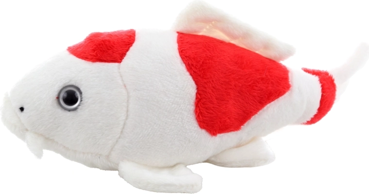 Detalii realiste ale crapului koi