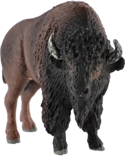 Animal din America de Nord