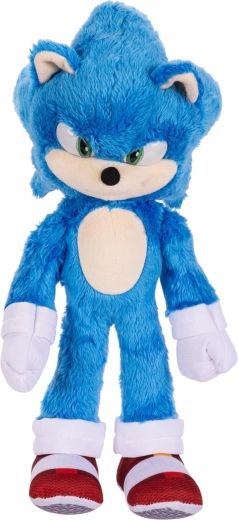 Detalii fidele SONIC