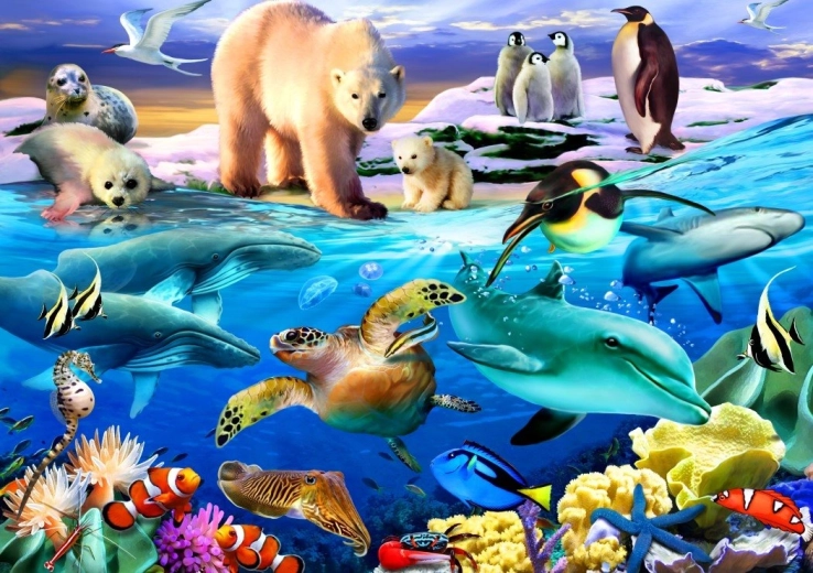 Puzzle Bluebird Oceanul vieții 1000 de piese