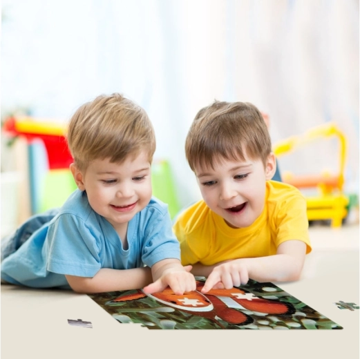 Dezvoltarea abilităților prin joacă